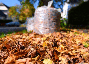 Wie Laubabholung Ihren Garten sauber und gepflegt hält