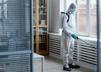 Die Auswahl des richtigen Schädlingsbekämpfers für Ihr Zuhause